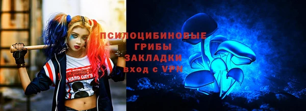 прущий лед Каменка