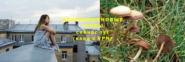 apvp Каменск-Шахтинский